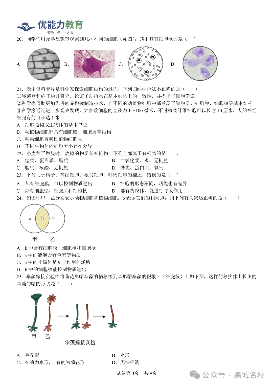 深圳实验学校中学部七年级上学期期中生物试卷和答案-第3张图片-四季读书网