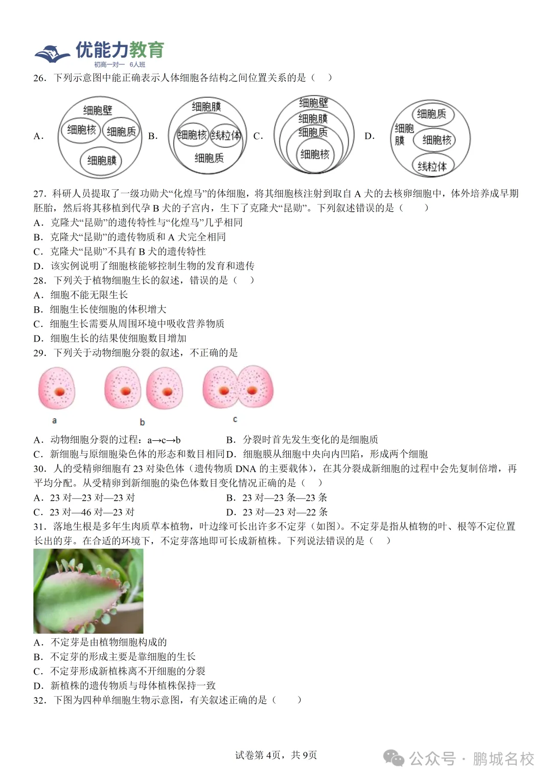深圳实验学校中学部七年级上学期期中生物试卷和答案-第4张图片-四季读书网