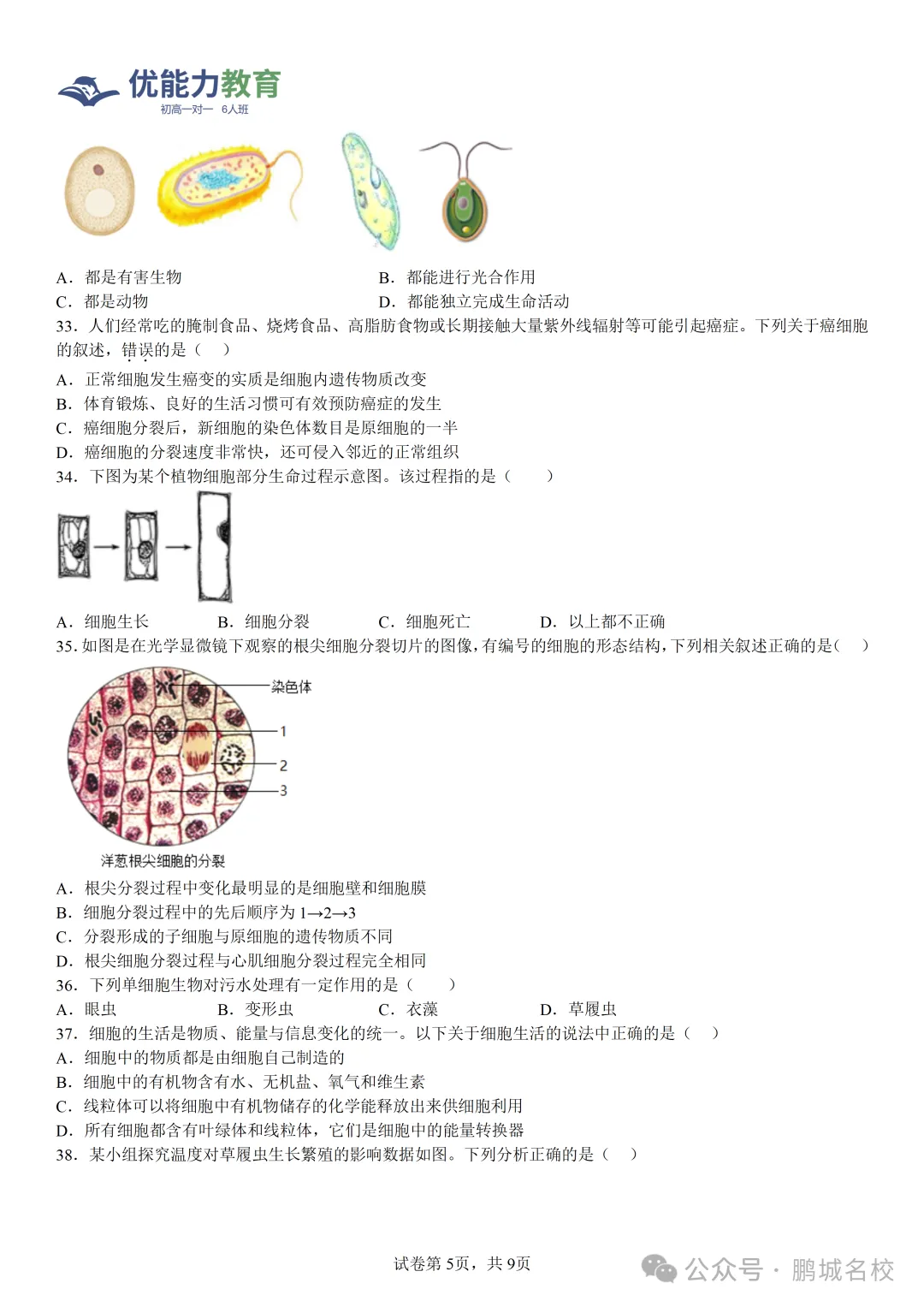 深圳实验学校中学部七年级上学期期中生物试卷和答案-第5张图片-四季读书网
