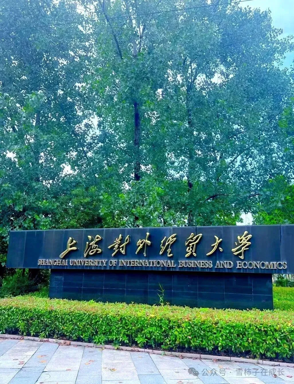 很多人还不知道,中考的成绩,其实已经预示着高考的结局了-第2张图片-四季读书网 很多人还不知道,中考的成绩,其实已经预示着高考的结局了-第2张图片-四季读书网