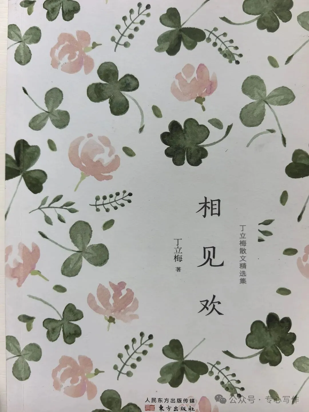 深度精读这篇丁立梅的“写亲情”,解锁中考高分作文的“底层逻辑”-第1张图片-四季读书网