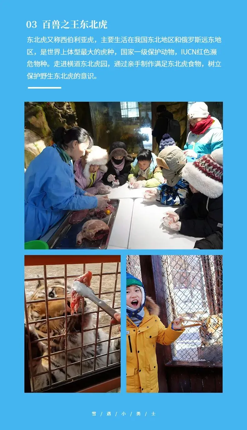 2027春节大年初二出发,带着萌娃闯尔滨,童话哈亚雪六日亲子营,包含冰雪大世界门票-第7张图片-四季读书网