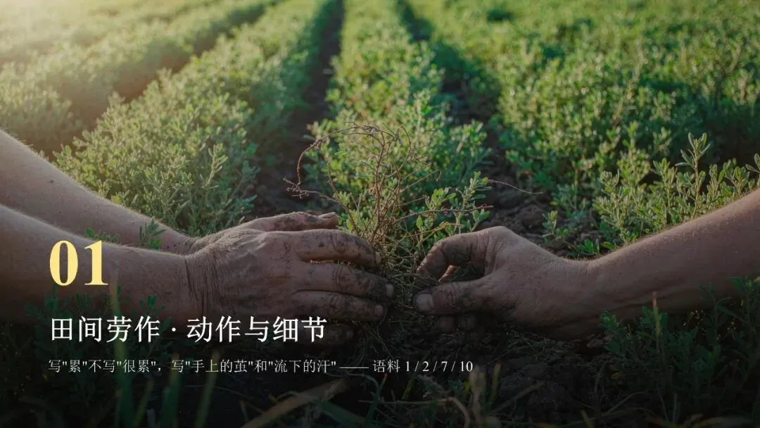 高考英语劳动实践类话题读后续写语料-第4张图片-四季读书网