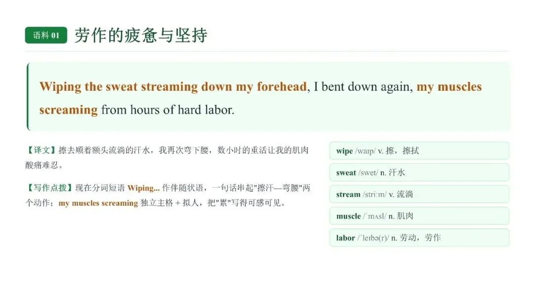 高考英语劳动实践类话题读后续写语料-第5张图片-四季读书网
