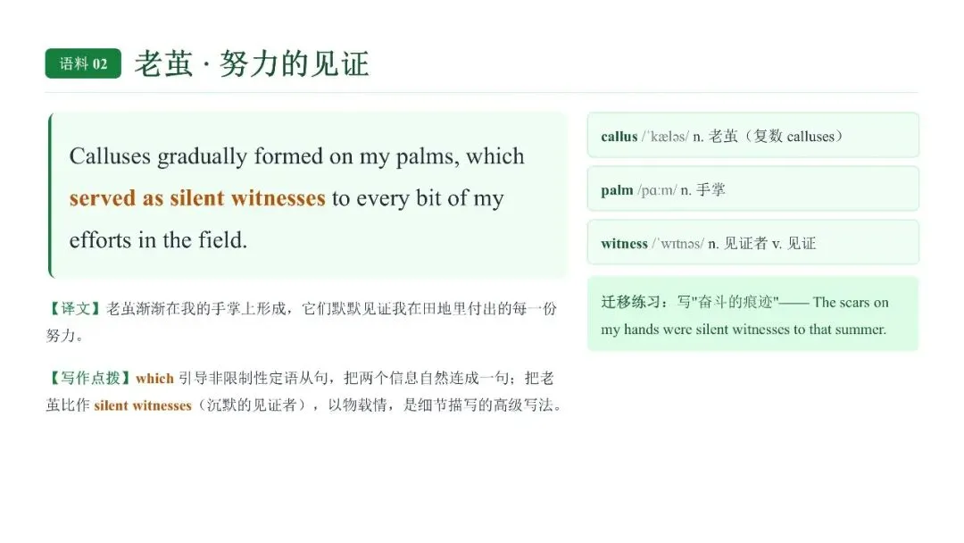 高考英语劳动实践类话题读后续写语料-第6张图片-四季读书网