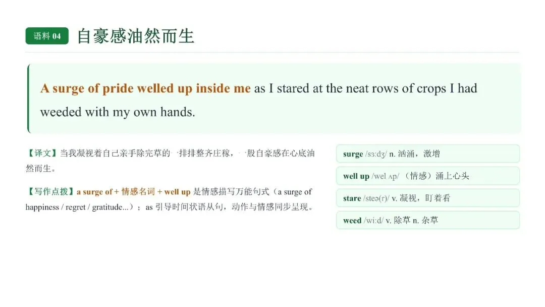 高考英语劳动实践类话题读后续写语料-第13张图片-四季读书网