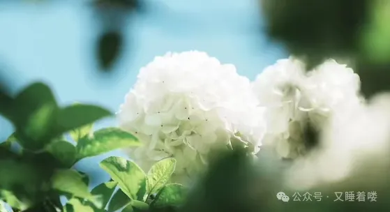 考研试卷明明不难,却考的很不理想-第1张图片-四季读书网