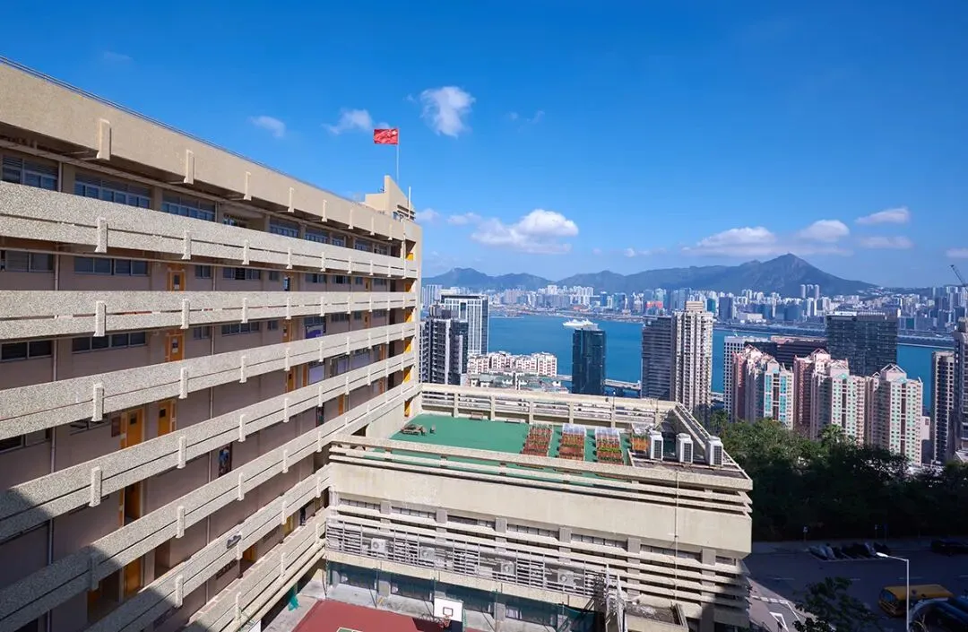 真题聚焦!高效备考!培侨中学校情考情重磅汇总-第5张图片-四季读书网 真题聚焦!高效备考!培侨中学校情考情重磅汇总-第5张图片-四季读书网