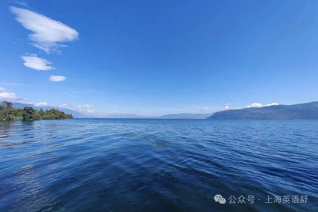【初三期中】27年新中考题型公布后,虹口区10月多校联考试卷解析版-第1张图片-四季读书网 【初三期中】27年新中考题型公布后,虹口区10月多校联考试卷解析版-第1张图片-四季读书网