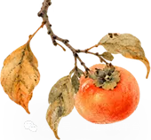 2026年一级建造师《建筑实务》真题解析-第1张图片-四季读书网
