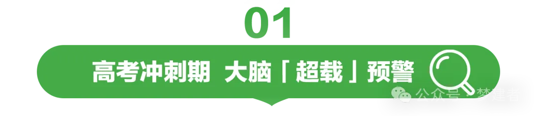 考前必看!高考「补脑营养」这样吃更提分!-第1张图片-四季读书网 考前必看!高考「补脑营养」这样吃更提分!-第1张图片-四季读书网
