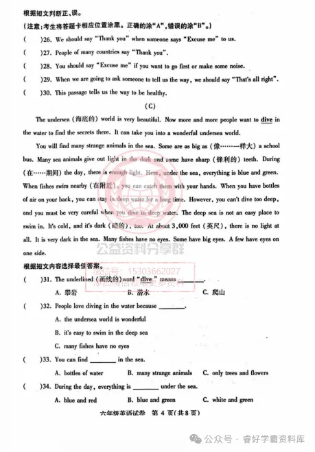 【初一/六上】2025年南岗区统考期中考试英语试卷及答案-第6张图片-四季读书网
