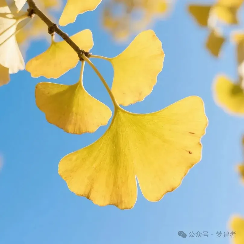 考前必看!高考「补脑营养」这样吃更提分!-第8张图片-四季读书网 考前必看!高考「补脑营养」这样吃更提分!-第8张图片-四季读书网