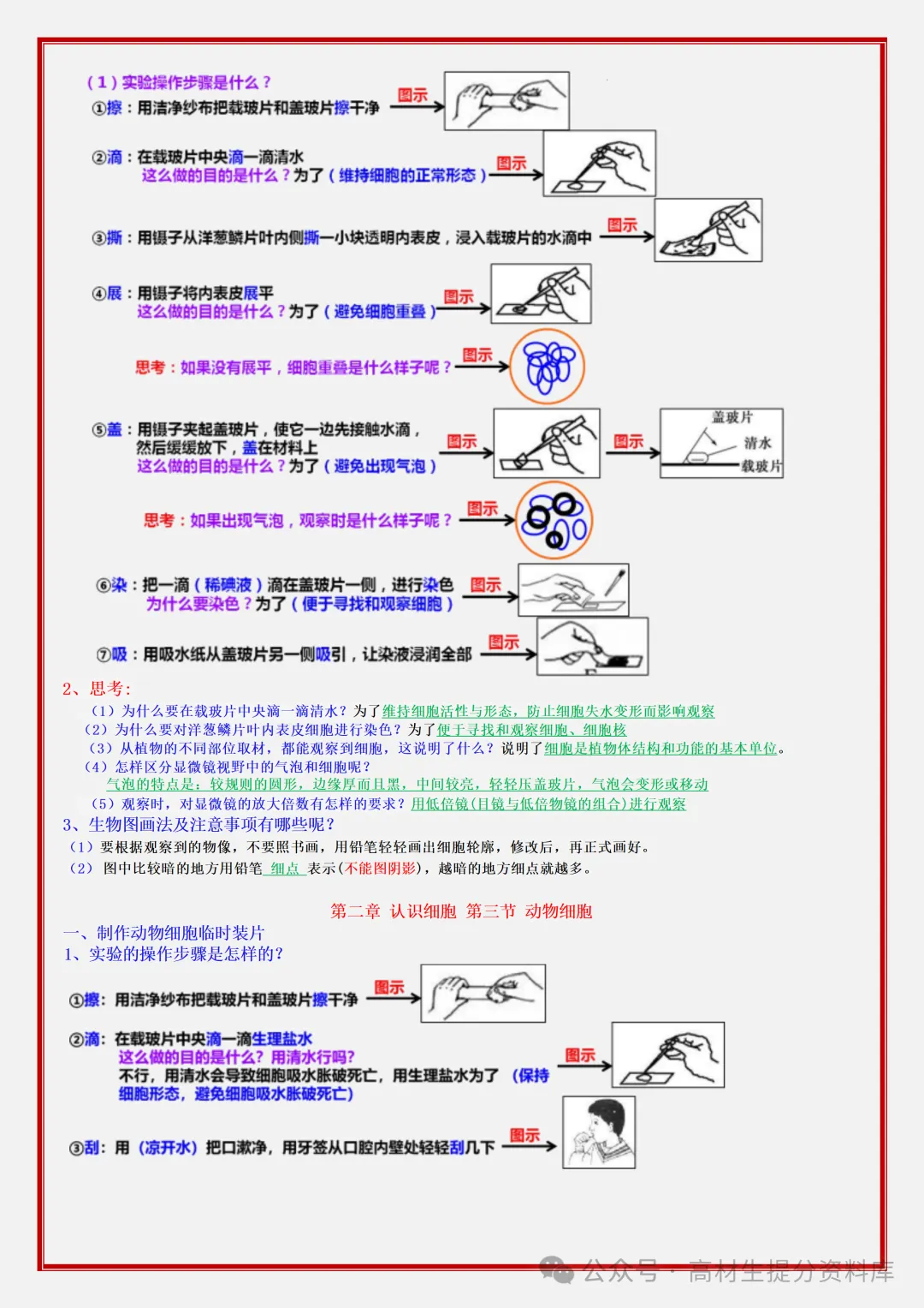 【初一】新版七年级上册生物期中必背考点知识点复习汇总,完整版可打印(2026)-第5张图片-四季读书网