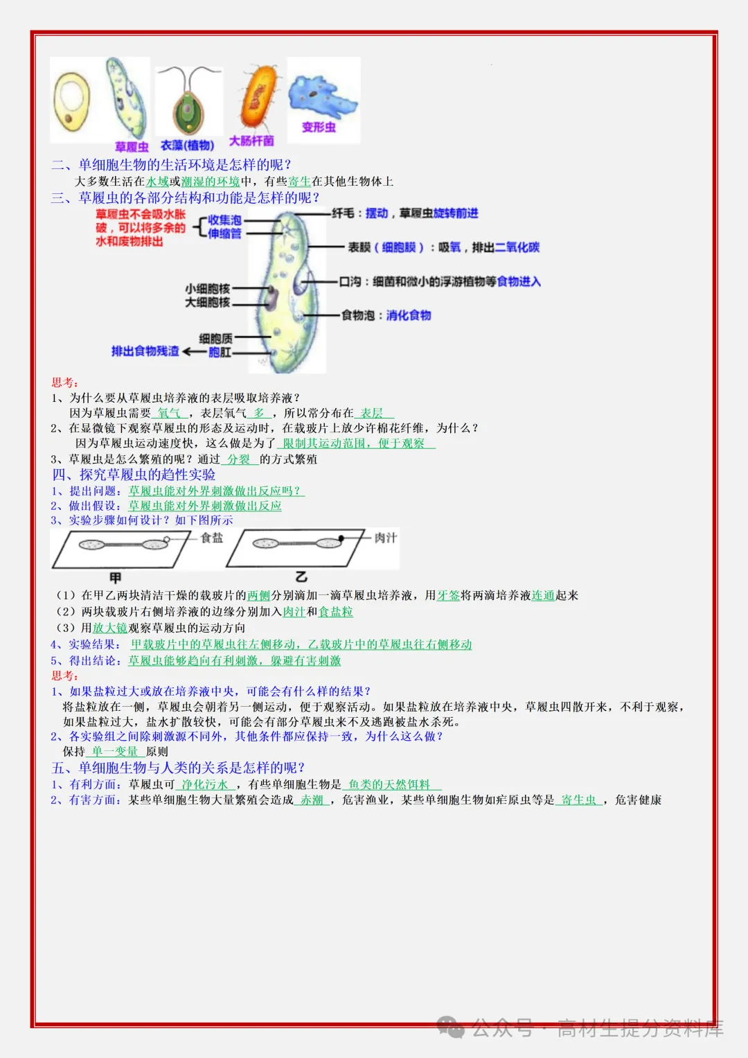 【初一】新版七年级上册生物期中必背考点知识点复习汇总,完整版可打印(2026)-第10张图片-四季读书网