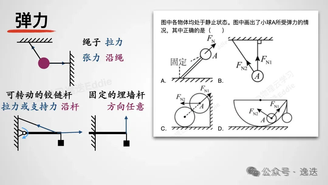 高一第一次期中考,物理复习需要重点盯哪些地方?-第1张图片-四季读书网
