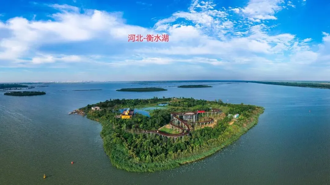 期中试卷|2025年11月石家庄长安区八年级道法期中考试卷(含答案)-第1张图片-四季读书网 期中试卷|2025年11月石家庄长安区八年级道法期中考试卷(含答案)-第1张图片-四季读书网