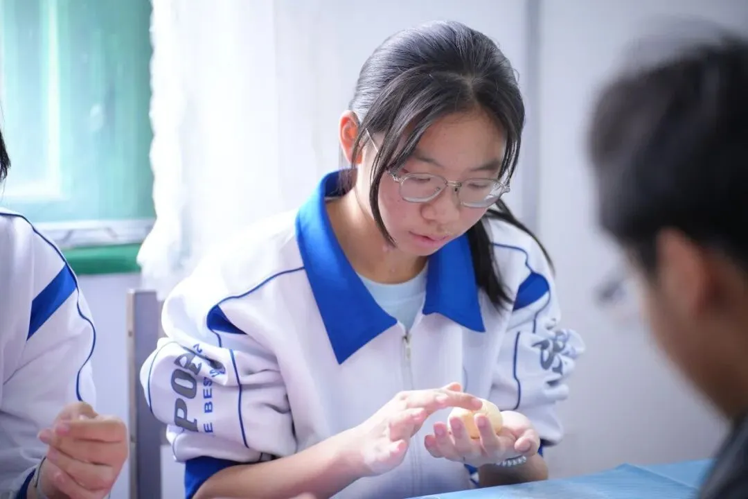 赓续长征星火 笃行青春之路——“云熠”初三哈尔滨入境励志研学纪实-第224张图片-四季读书网 赓续长征星火 笃行青春之路——“云熠”初三哈尔滨入境励志研学纪实-第224张图片-四季读书网