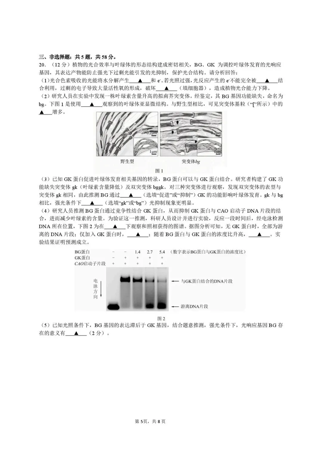 9科试卷答案2027届南京29中+常州中学+镇江一中等校高三上10月阶段学情自测9科+答案(2026.10)-第43张图片-四季读书网
