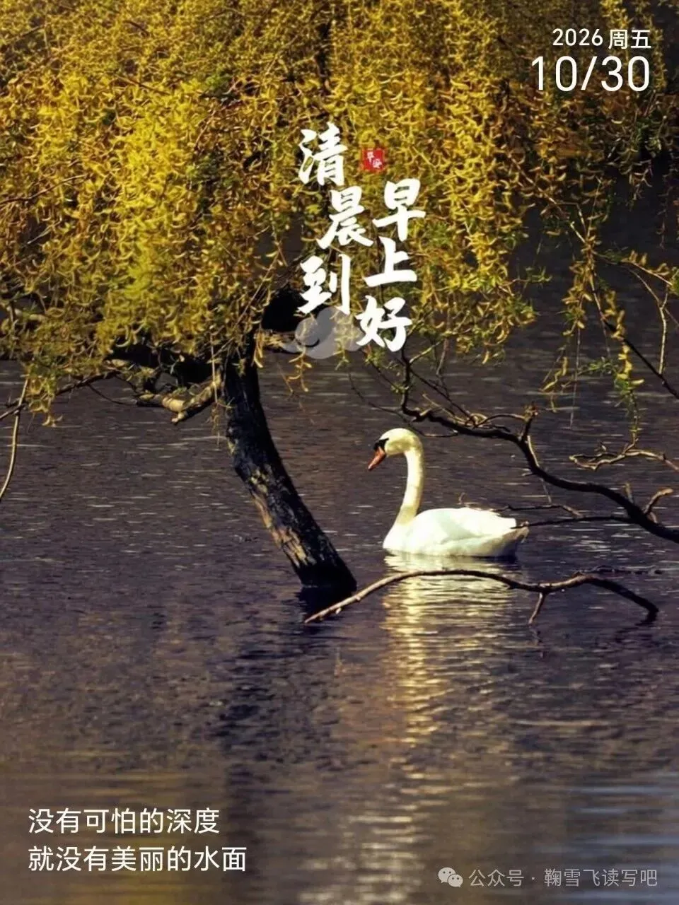 半夜11点,一个初三女孩发来一篇文章-第2张图片-四季读书网 半夜11点,一个初三女孩发来一篇文章-第2张图片-四季读书网