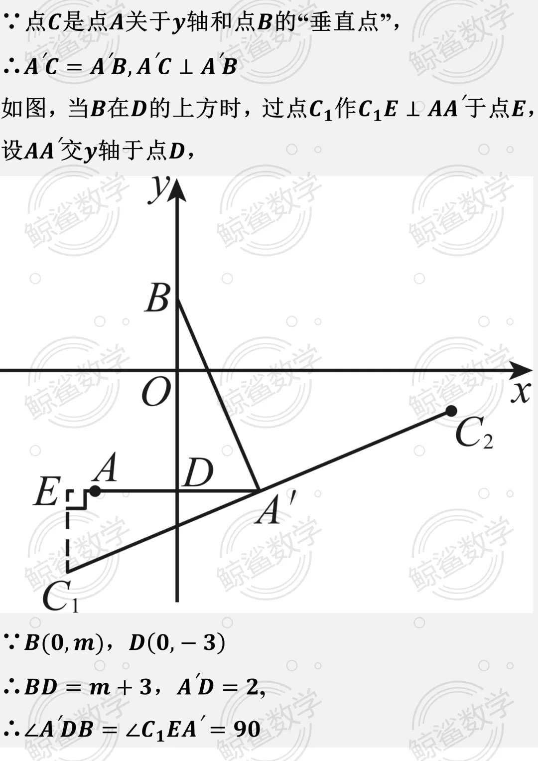 初二数学 | 期中压轴题(新定义)考前训练(学员培优)附答案解析(家长版样例)-第15张图片-四季读书网