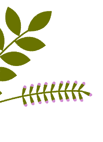 四川中职单招数学|历年真题考点深度拆解,备考少走弯路【文末领】-第13张图片-四季读书网 四川中职单招数学|历年真题考点深度拆解,备考少走弯路【文末领】-第13张图片-四季读书网