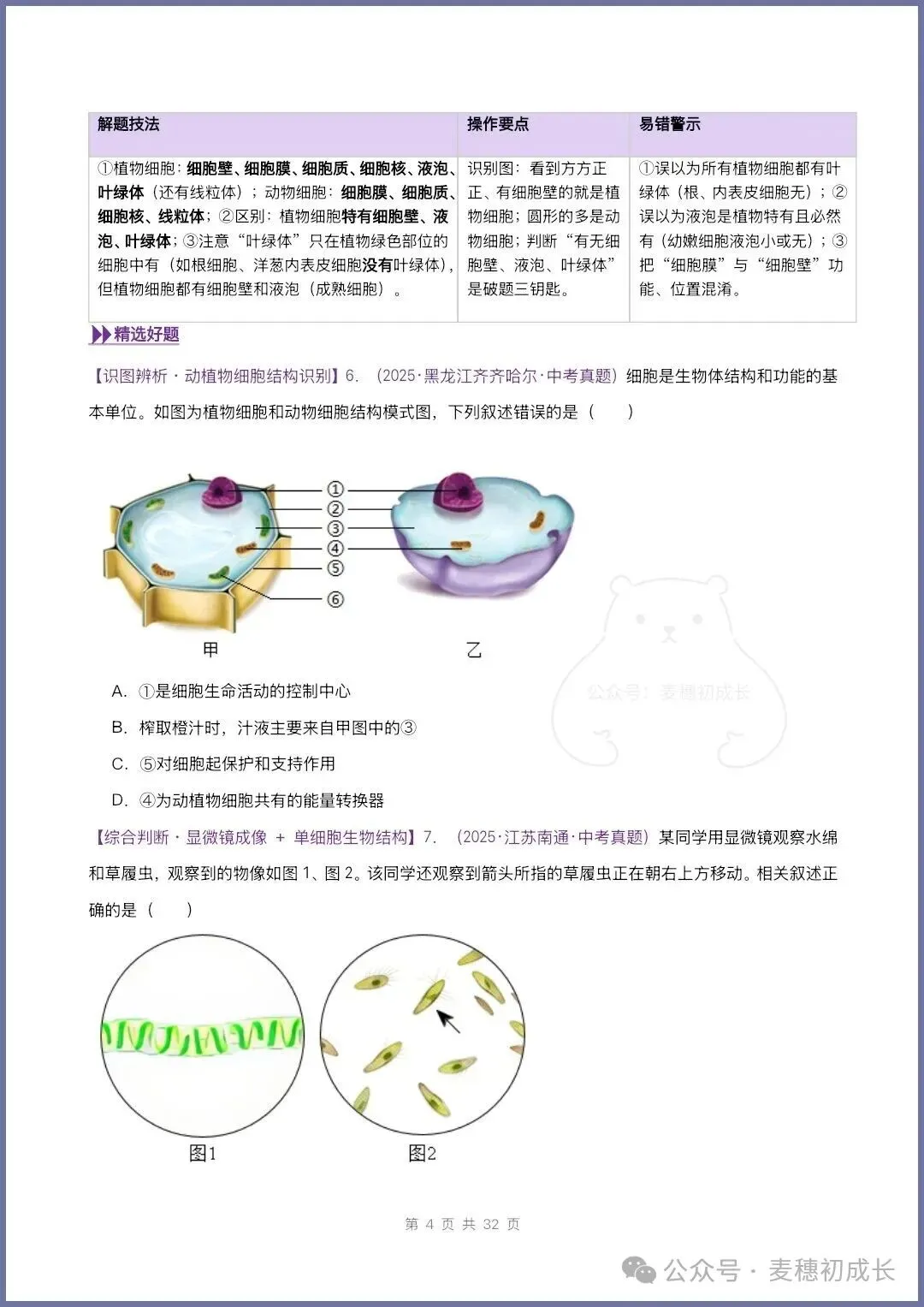 2026新人教版七上生物|期中复习真题《高频题型专项通关练习》含解析可打印-第6张图片-四季读书网 2026新人教版七上生物|期中复习真题《高频题型专项通关练习》含解析可打印-第6张图片-四季读书网