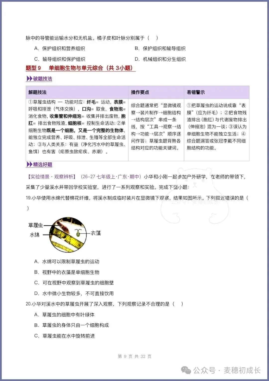 2026新人教版七上生物|期中复习真题《高频题型专项通关练习》含解析可打印-第11张图片-四季读书网 2026新人教版七上生物|期中复习真题《高频题型专项通关练习》含解析可打印-第11张图片-四季读书网