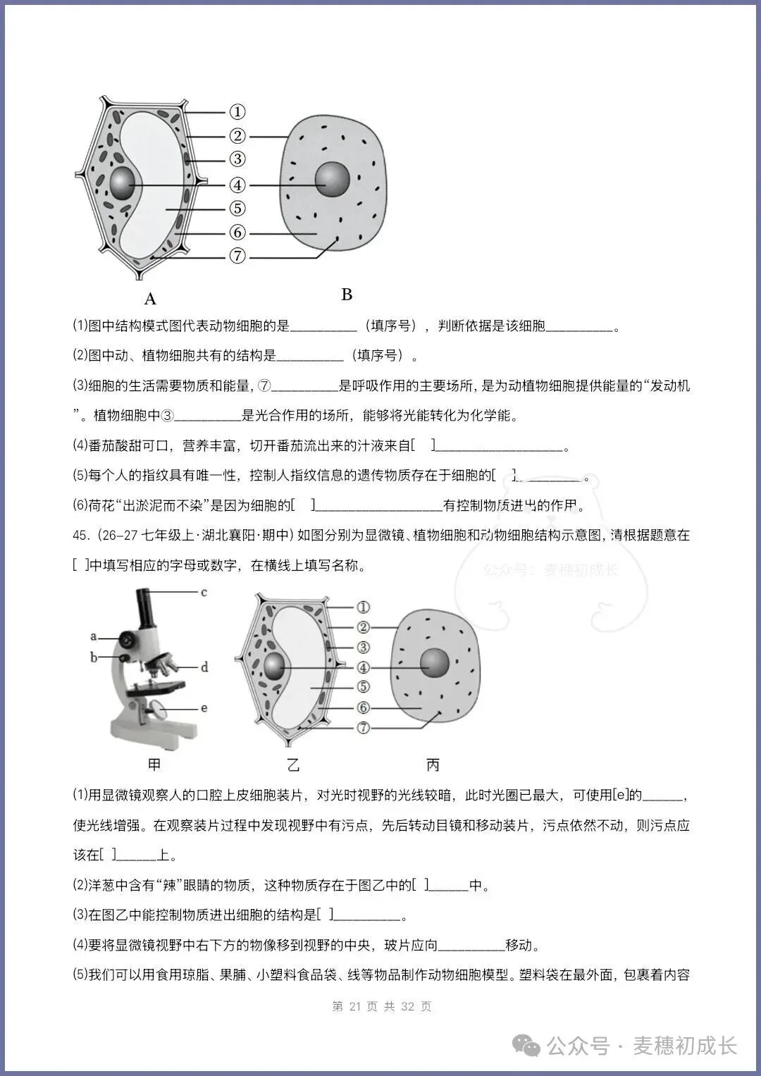 2026新人教版七上生物|期中复习真题《高频题型专项通关练习》含解析可打印-第17张图片-四季读书网 2026新人教版七上生物|期中复习真题《高频题型专项通关练习》含解析可打印-第17张图片-四季读书网