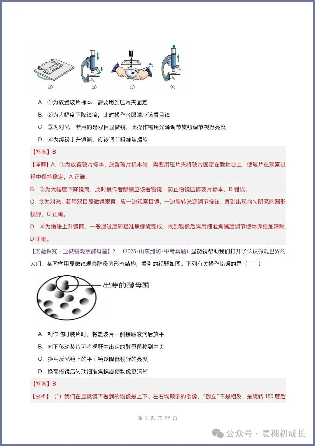 2026新人教版七上生物|期中复习真题《高频题型专项通关练习》含解析可打印-第19张图片-四季读书网 2026新人教版七上生物|期中复习真题《高频题型专项通关练习》含解析可打印-第19张图片-四季读书网