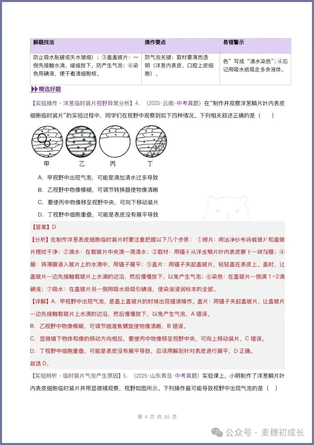 2026新人教版七上生物|期中复习真题《高频题型专项通关练习》含解析可打印-第21张图片-四季读书网 2026新人教版七上生物|期中复习真题《高频题型专项通关练习》含解析可打印-第21张图片-四季读书网