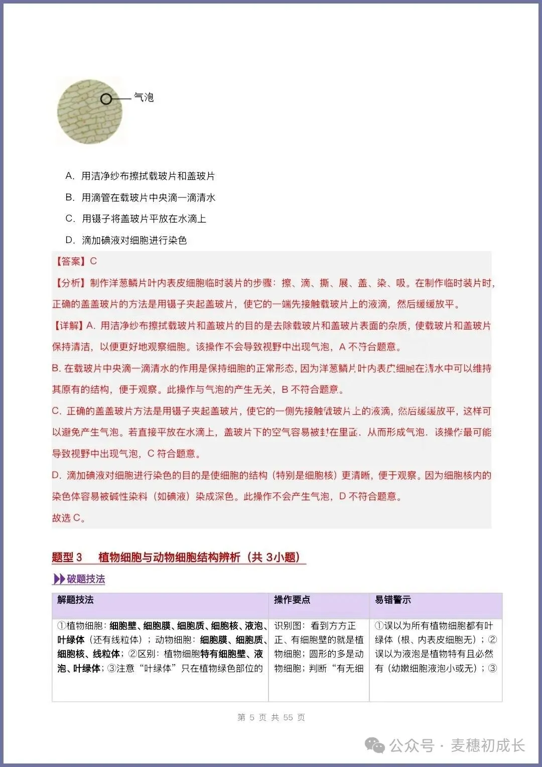 2026新人教版七上生物|期中复习真题《高频题型专项通关练习》含解析可打印-第22张图片-四季读书网 2026新人教版七上生物|期中复习真题《高频题型专项通关练习》含解析可打印-第22张图片-四季读书网