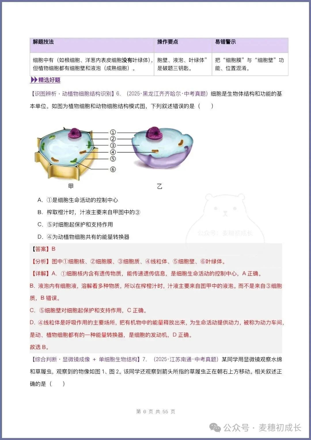 2026新人教版七上生物|期中复习真题《高频题型专项通关练习》含解析可打印-第23张图片-四季读书网 2026新人教版七上生物|期中复习真题《高频题型专项通关练习》含解析可打印-第23张图片-四季读书网