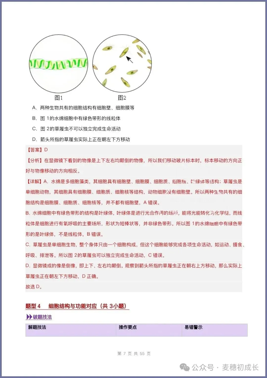 2026新人教版七上生物|期中复习真题《高频题型专项通关练习》含解析可打印-第24张图片-四季读书网 2026新人教版七上生物|期中复习真题《高频题型专项通关练习》含解析可打印-第24张图片-四季读书网