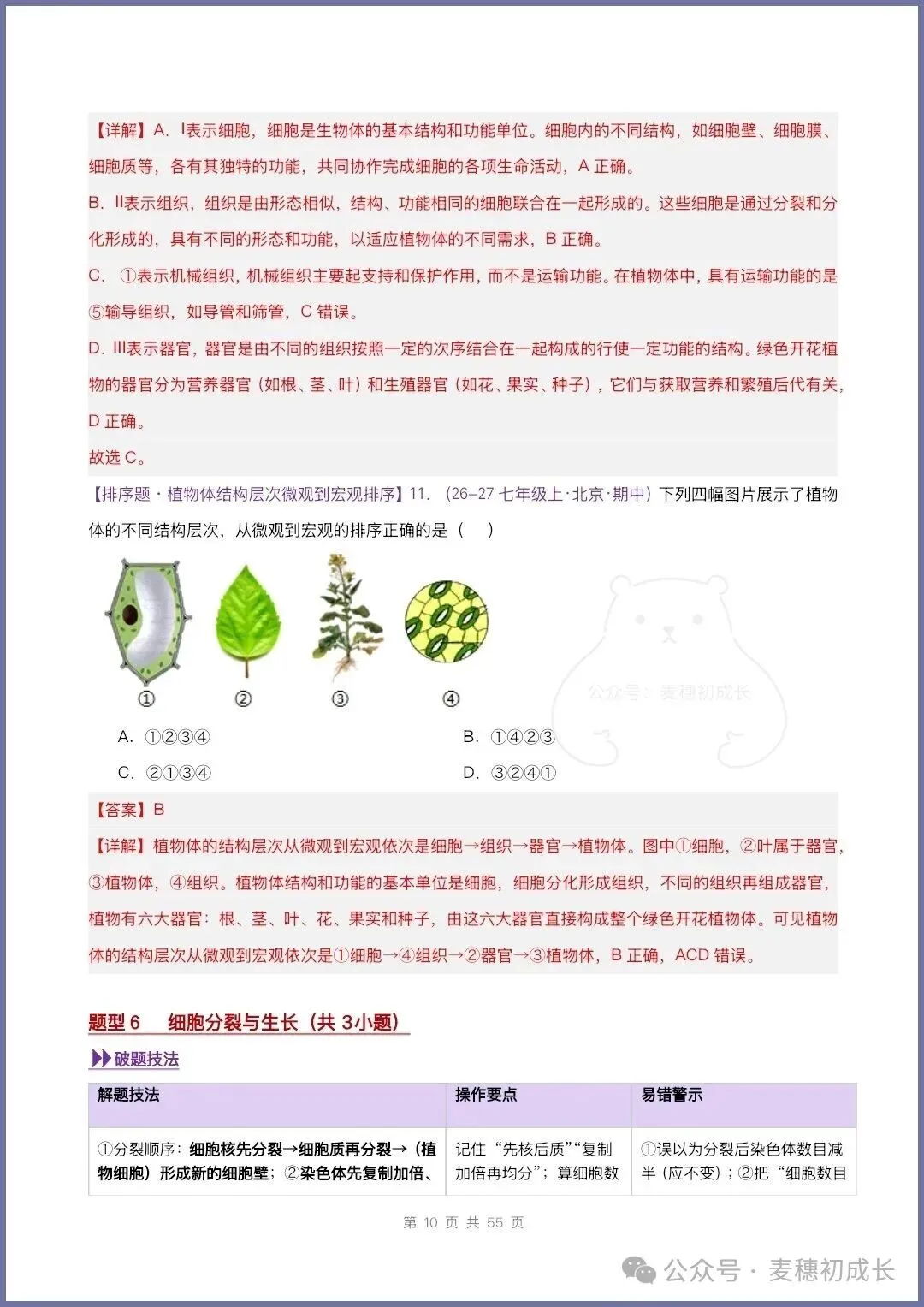 2026新人教版七上生物|期中复习真题《高频题型专项通关练习》含解析可打印-第26张图片-四季读书网 2026新人教版七上生物|期中复习真题《高频题型专项通关练习》含解析可打印-第26张图片-四季读书网