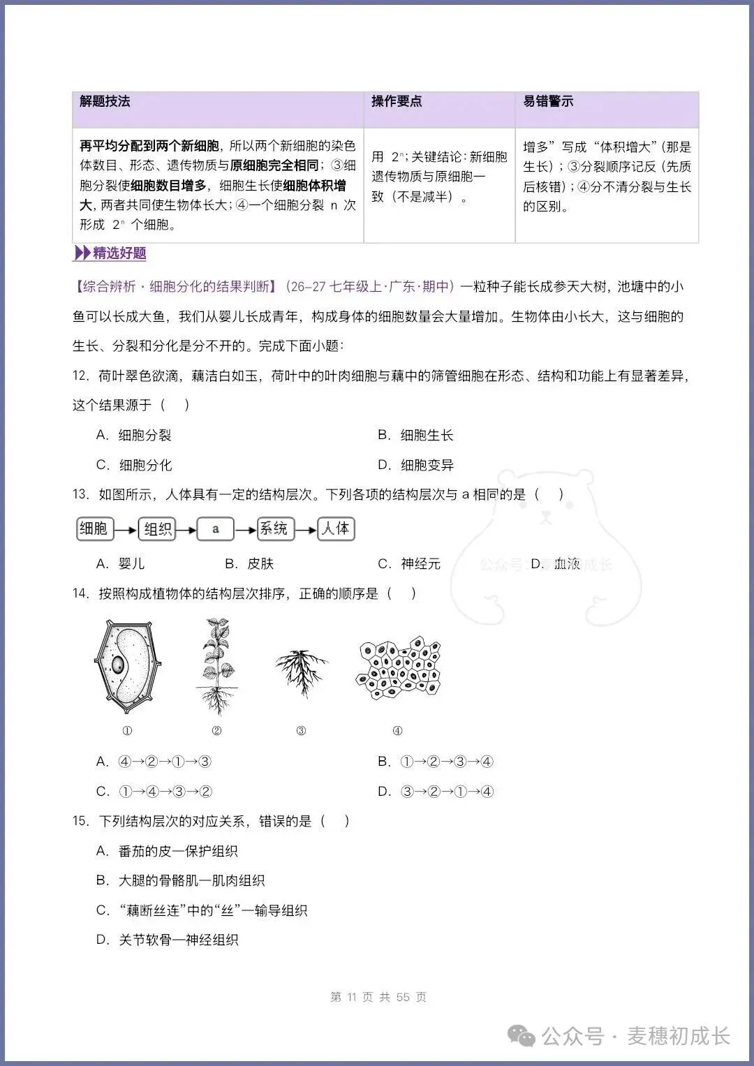 2026新人教版七上生物|期中复习真题《高频题型专项通关练习》含解析可打印-第27张图片-四季读书网 2026新人教版七上生物|期中复习真题《高频题型专项通关练习》含解析可打印-第27张图片-四季读书网