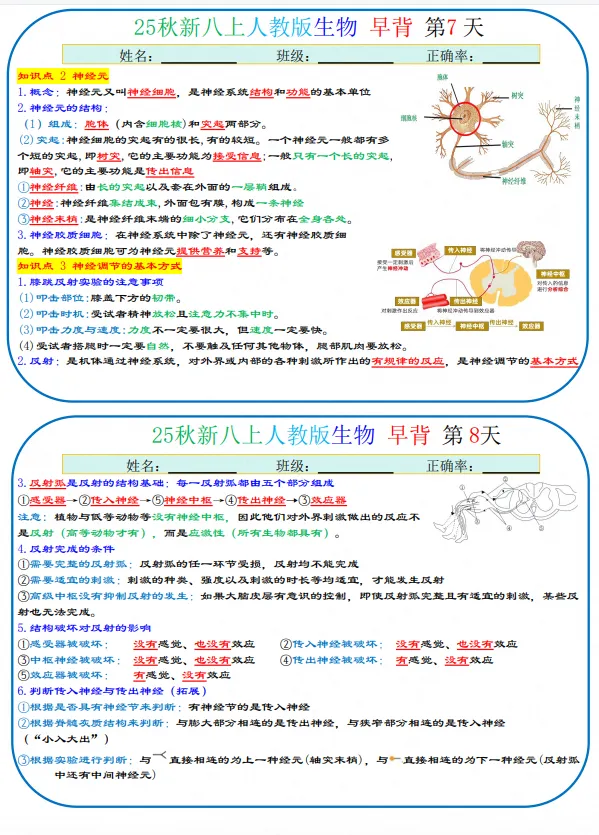 初二|八年级上册生物《全册知识点早背晚默——早背版》,共19页,可打印-第2张图片-四季读书网