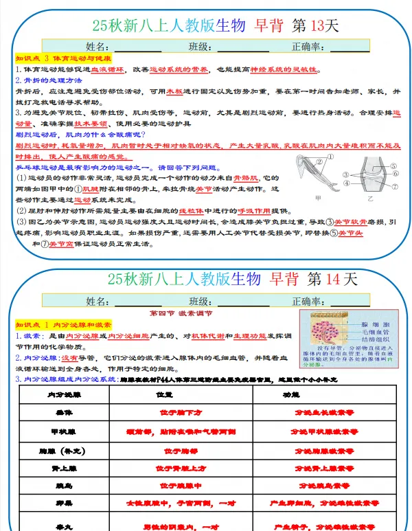 初二|八年级上册生物《全册知识点早背晚默——早背版》,共19页,可打印-第3张图片-四季读书网