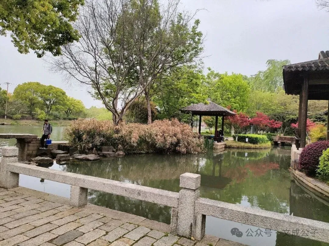 八上历史期中考论述题必背范文-第1张图片-四季读书网 八上历史期中考论述题必背范文-第1张图片-四季读书网