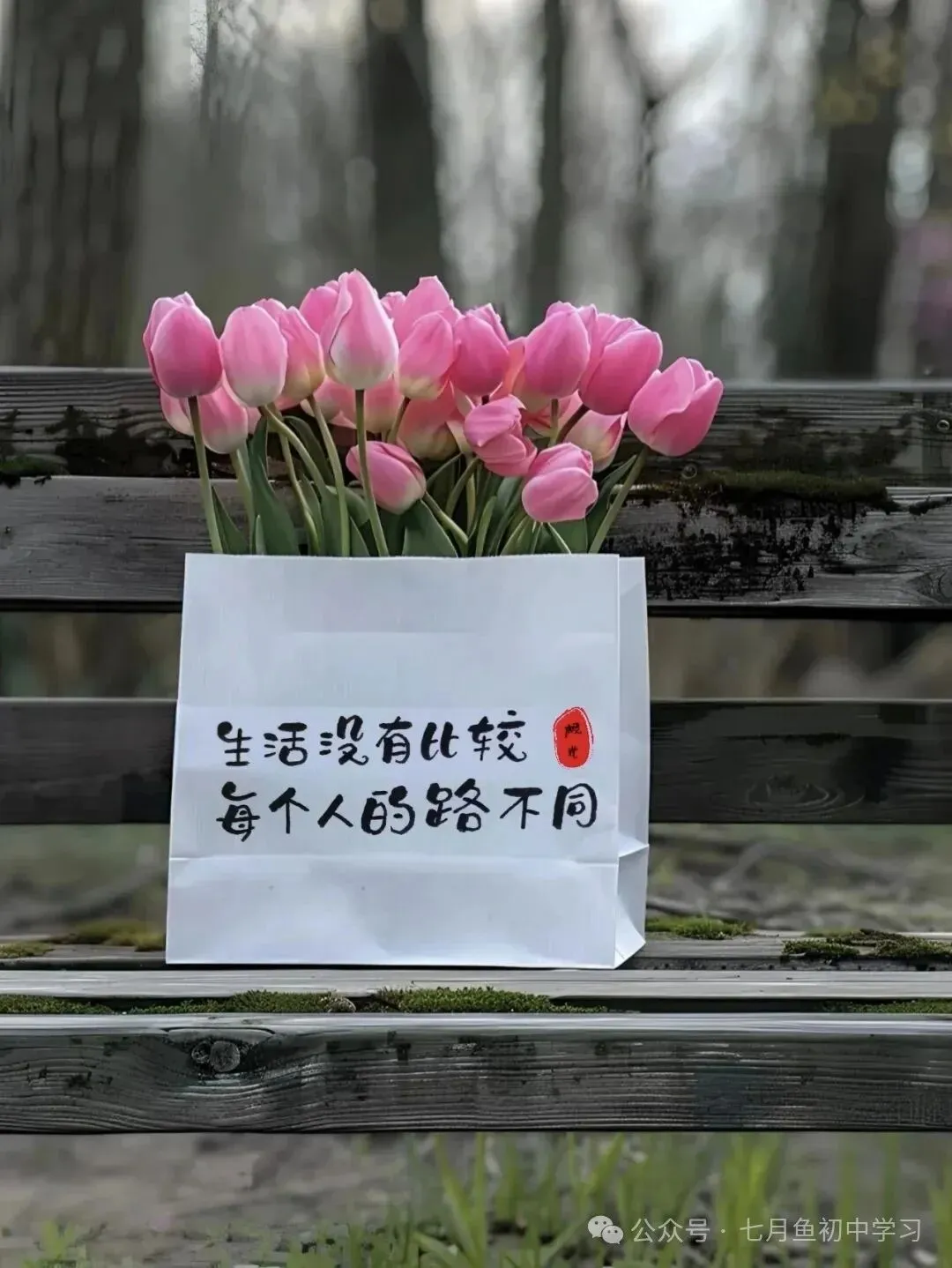 长沙中考成绩查询方式-第10张图片-四季读书网