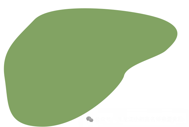 初三关键分水岭!天盛教育 2027寒假托管班正式招生,全科护航备战中考! 咨询热线:13029999941-第1张图片-四季读书网