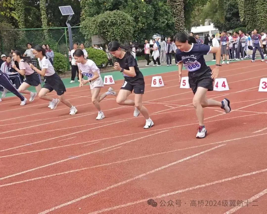 # 追风逐光,不负韶华|初三学子运动会热血瞬间!-第2张图片-四季读书网
