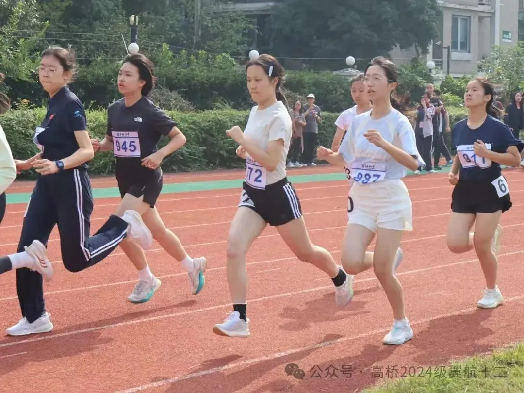 # 追风逐光,不负韶华|初三学子运动会热血瞬间!-第5张图片-四季读书网