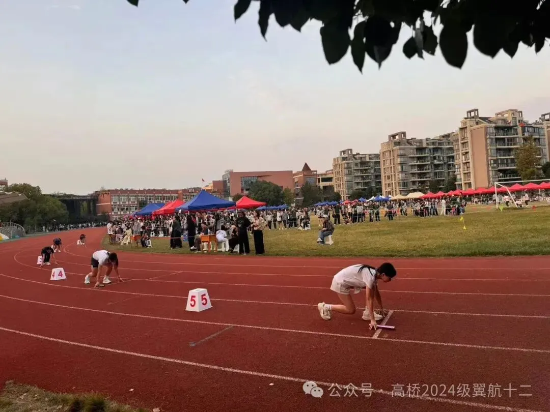 # 追风逐光,不负韶华|初三学子运动会热血瞬间!-第12张图片-四季读书网