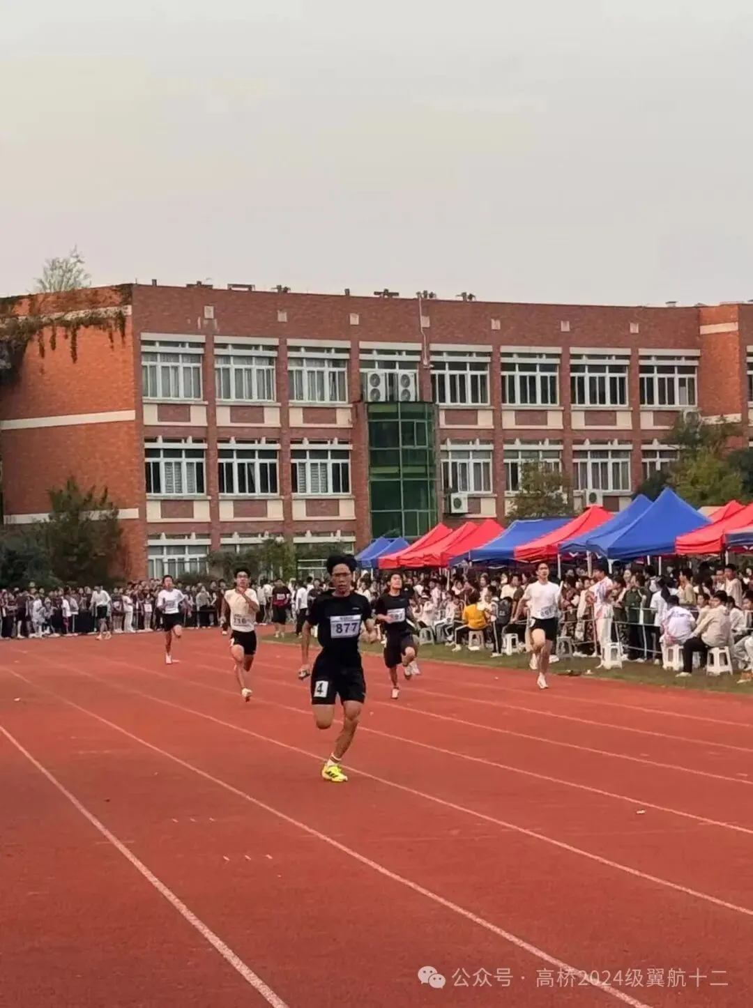 # 追风逐光,不负韶华|初三学子运动会热血瞬间!-第13张图片-四季读书网