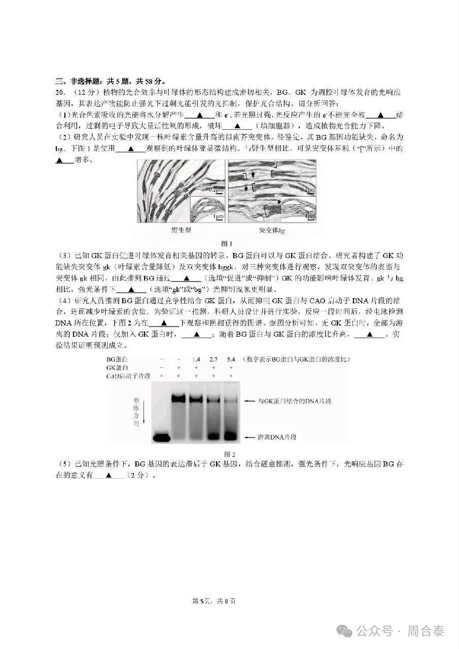 江苏三校联考2026年10月高三生物学试卷和参考答案-第5张图片-四季读书网