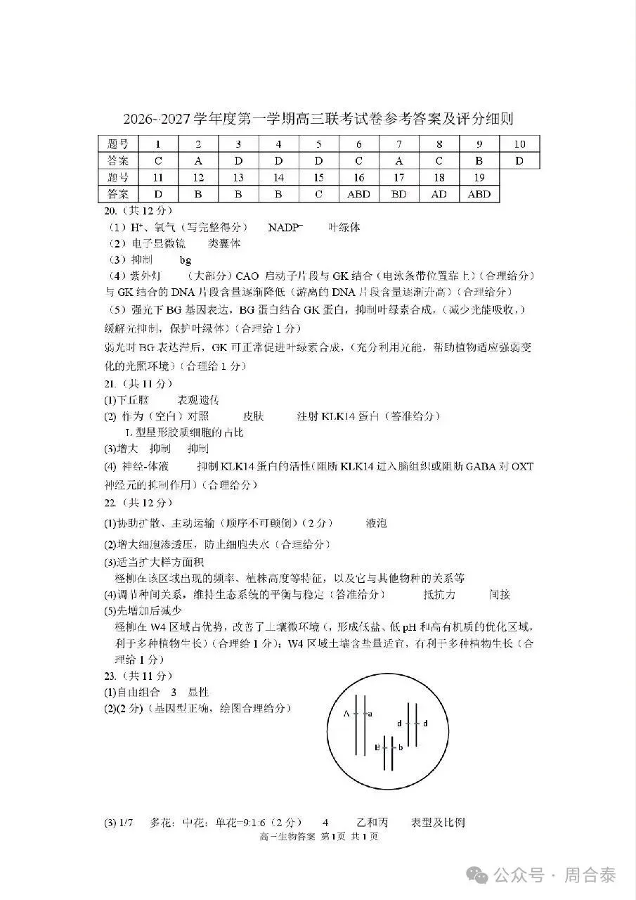江苏三校联考2026年10月高三生物学试卷和参考答案-第9张图片-四季读书网