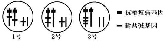 生物高考真题 | 2024年高考生物真题(海南卷)-第7张图片-四季读书网 生物高考真题 | 2024年高考生物真题(海南卷)-第7张图片-四季读书网