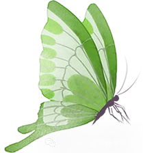 天津比比易高考——地理趣味冷知识-第36张图片-四季读书网 天津比比易高考——地理趣味冷知识-第36张图片-四季读书网