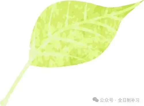 西安中考择校必看!2026各区民办高中收费标准全整理-第10张图片-四季读书网 西安中考择校必看!2026各区民办高中收费标准全整理-第10张图片-四季读书网
